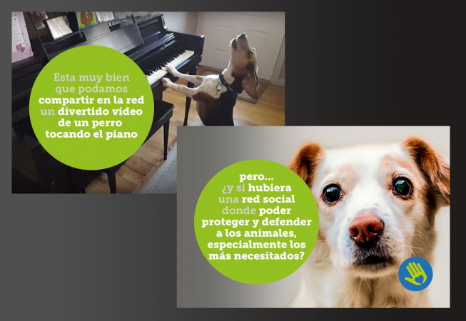 Imagen para redes sociales de helpncare