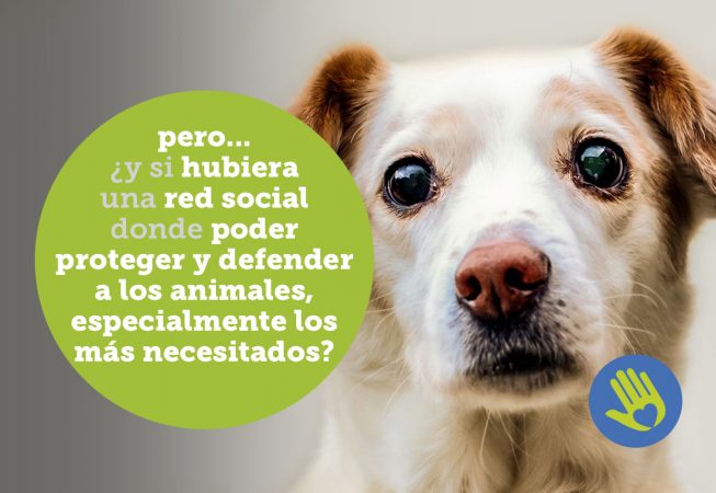 Imagen para redes sociales de helpncare